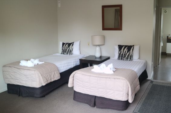 Executive 1-Bedroom Spa Suite - single beds