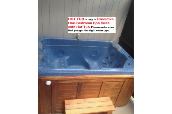 Executive 1-Bedroom Spa Suite - outdoor spa pool